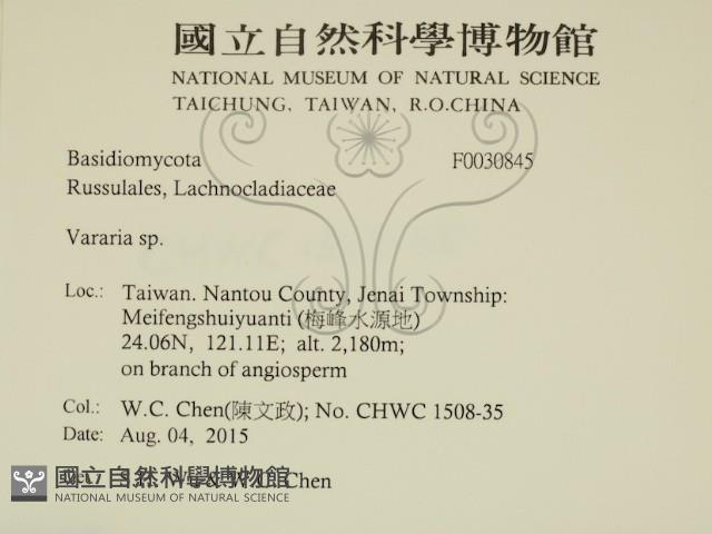 登錄號:F0030845藏品圖，第2張