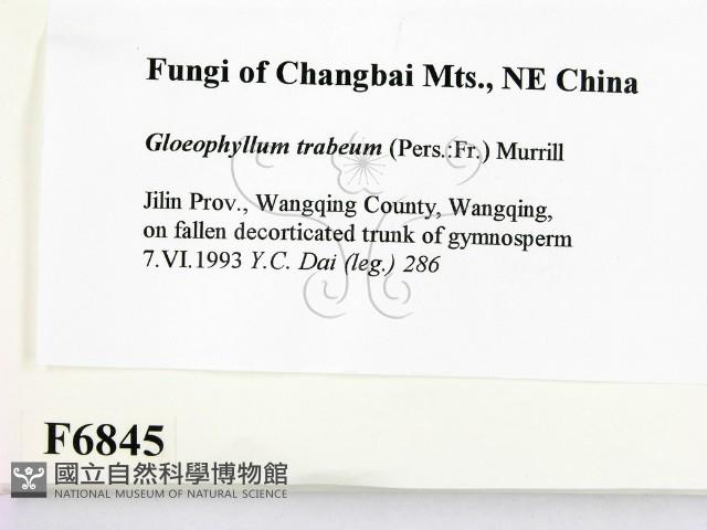 登錄號:F0006845藏品圖，第2張