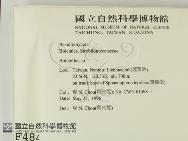 登錄號:F0004845藏品圖，第2張