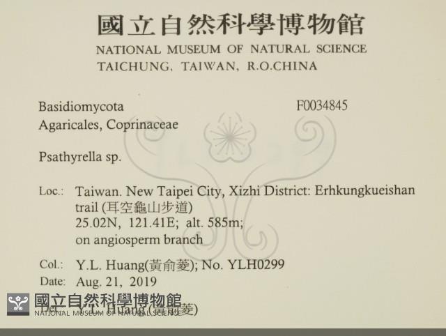 登錄號:F0034845藏品圖，第2張