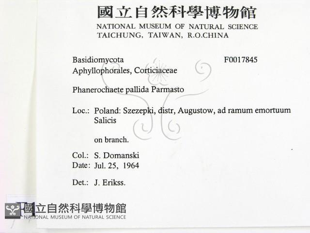 登錄號:F0017845藏品圖，第2張