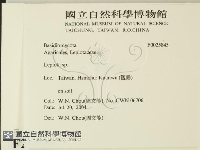登錄號:F0025845藏品圖，第2張