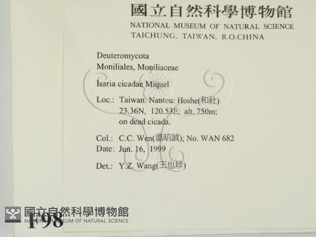 登錄號:F0009845藏品圖，第2張