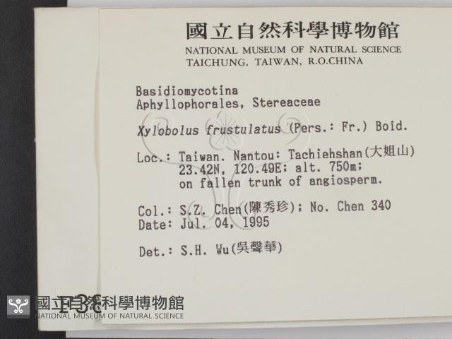 登錄號:F0003845藏品圖，第2張