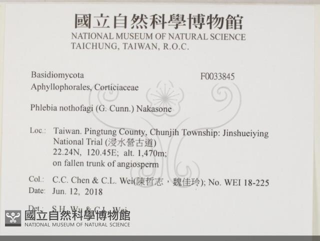 登錄號:F0033845藏品圖，第2張