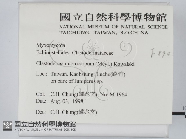 登錄號:F0008945藏品圖，第2張