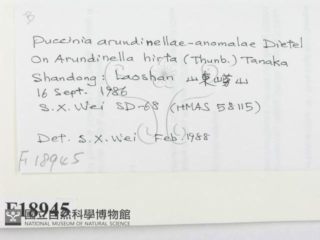 登錄號:F0018945藏品圖，第2張