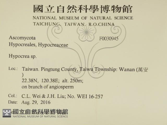 登錄號:F0030945藏品圖，第2張