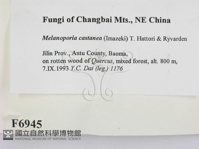 登錄號:F0006945藏品圖，第2張