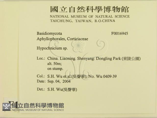 登錄號:F0016945藏品圖，第2張