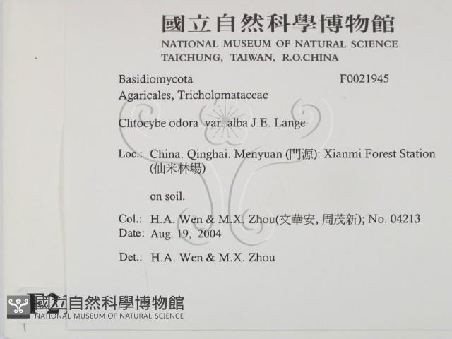 登錄號:F0021945藏品圖，第2張