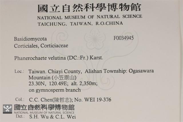 登錄號:F0034945藏品圖，第2張