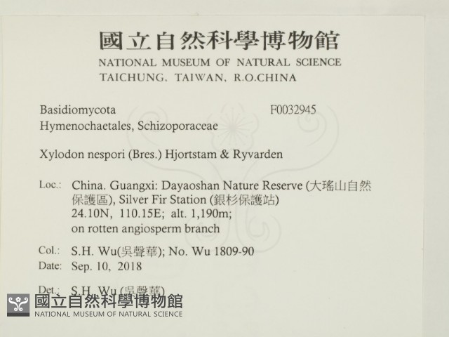 登錄號:F0032945藏品圖，第2張