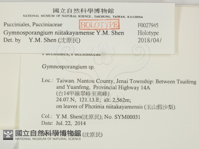 登錄號:F0027945藏品圖，第2張