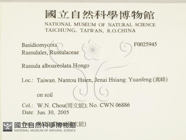 登錄號:F0025945藏品圖，第2張
