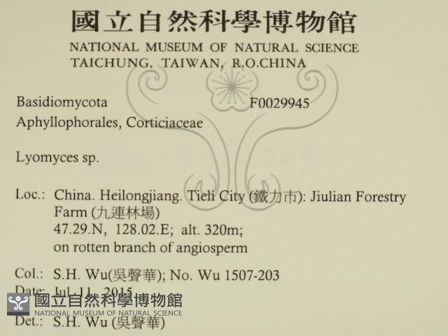 登錄號:F0029945藏品圖，第2張