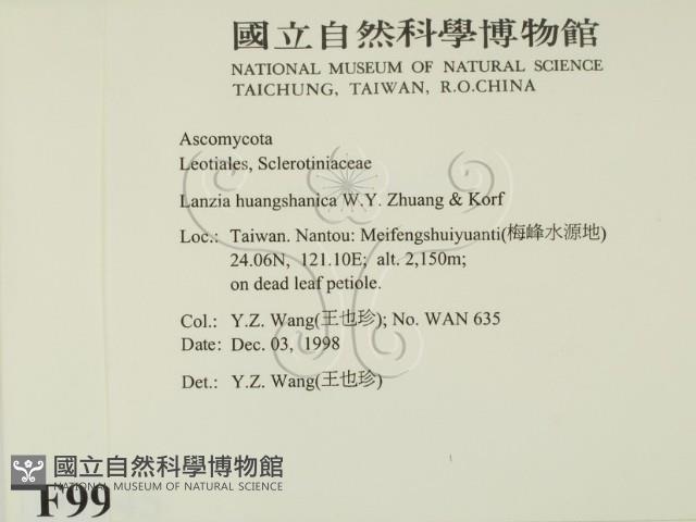 登錄號:F0009945藏品圖，第2張