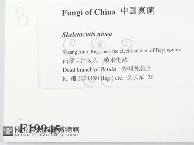 登錄號:F0019945藏品圖，第2張