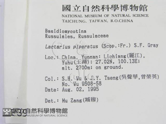 登錄號:F0003945藏品圖，第2張