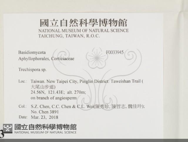 登錄號:F0033945藏品圖，第2張