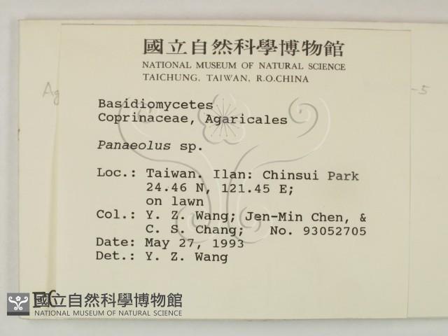 登錄號:F0000645藏品圖，第2張