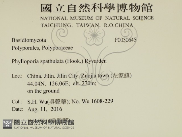 登錄號:F0030645藏品圖，第2張