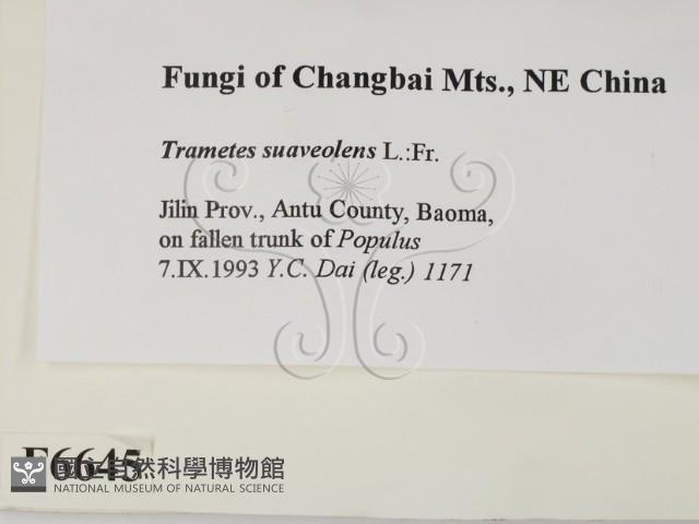 登錄號:F0006645藏品圖，第2張