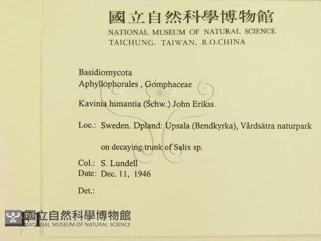 登錄號:F0016645藏品圖，第2張