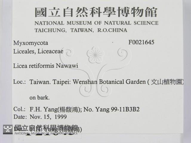 登錄號:F0021645藏品圖，第2張