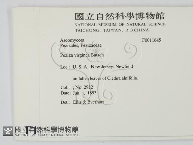 登錄號:F0011645藏品圖，第2張
