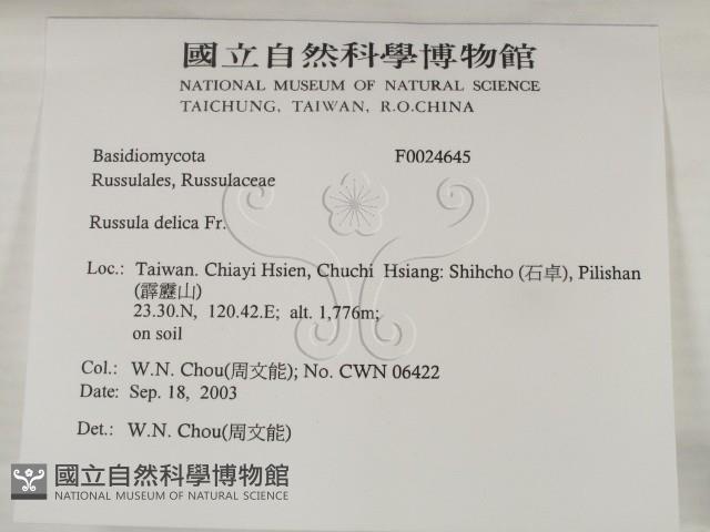 登錄號:F0024645藏品圖，第2張