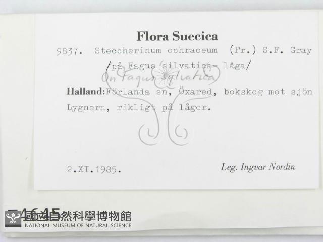 登錄號:F0004645藏品圖，第2張