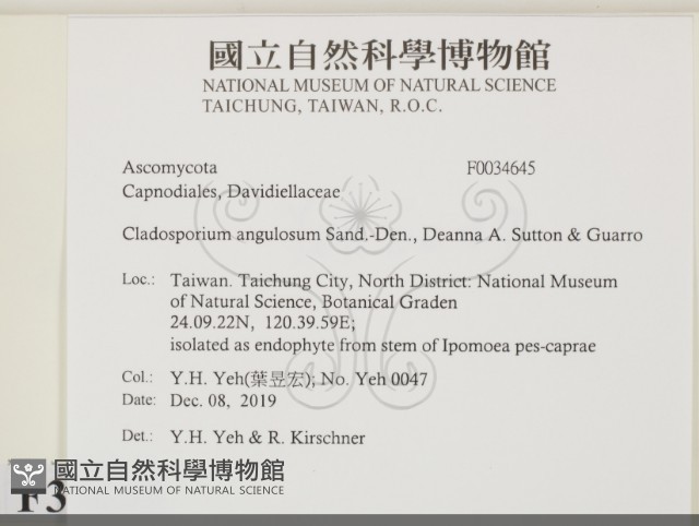 登錄號:F0034645藏品圖，第2張
