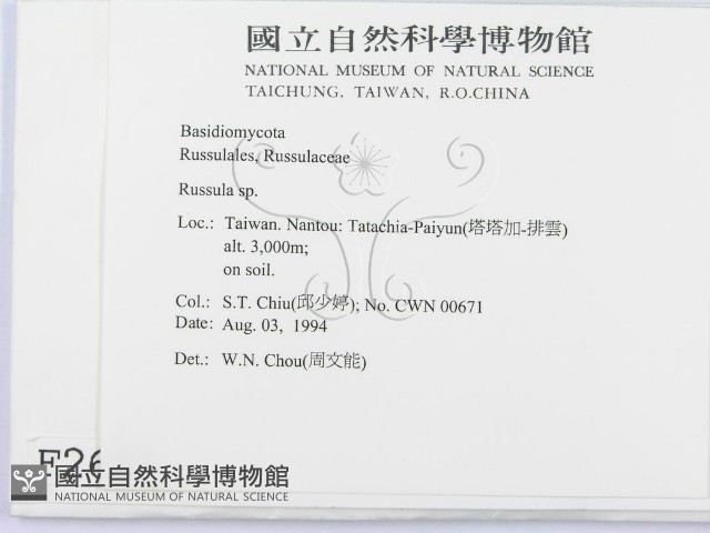 紅菇屬藏品圖，第2張