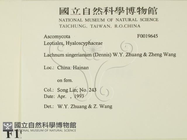 登錄號:F0019645藏品圖，第2張