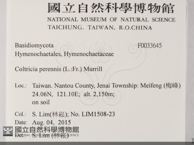 登錄號:F0033645藏品圖，第2張