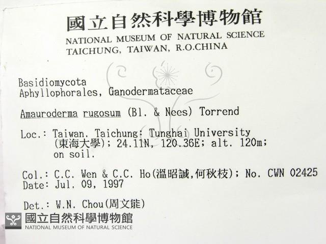 登錄號:F0008445藏品圖，第2張