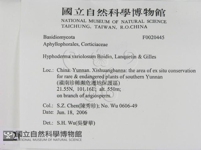 登錄號:F0020445藏品圖，第2張