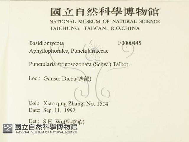 登錄號:F0000445藏品圖，第2張