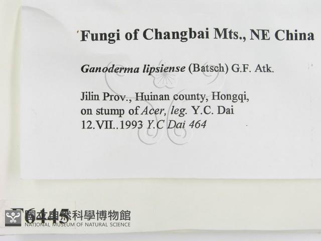 登錄號:F0006445藏品圖，第2張