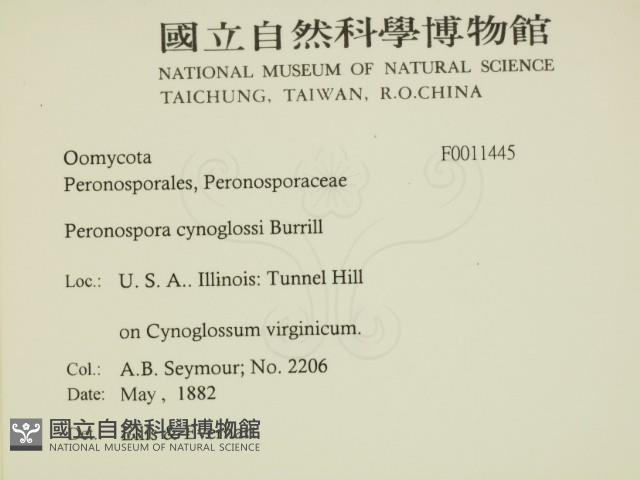 登錄號:F0011445藏品圖，第2張