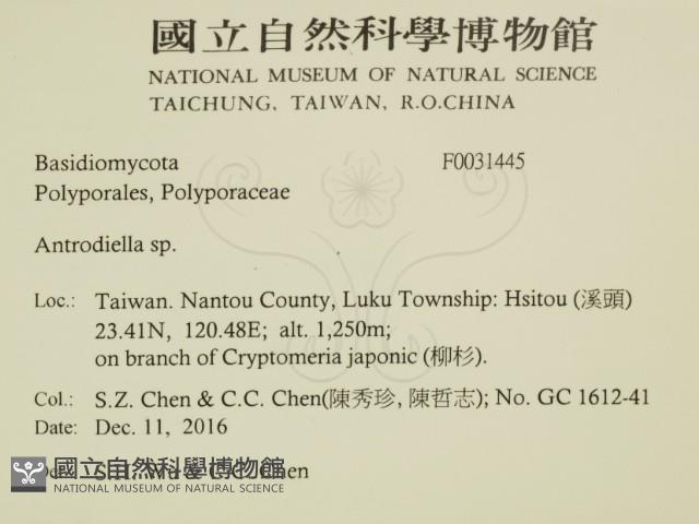 登錄號:F0031445藏品圖，第2張