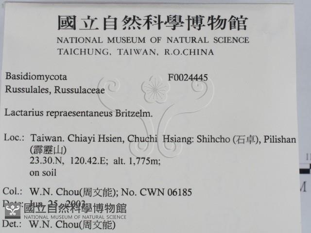 登錄號:F0024445藏品圖，第2張