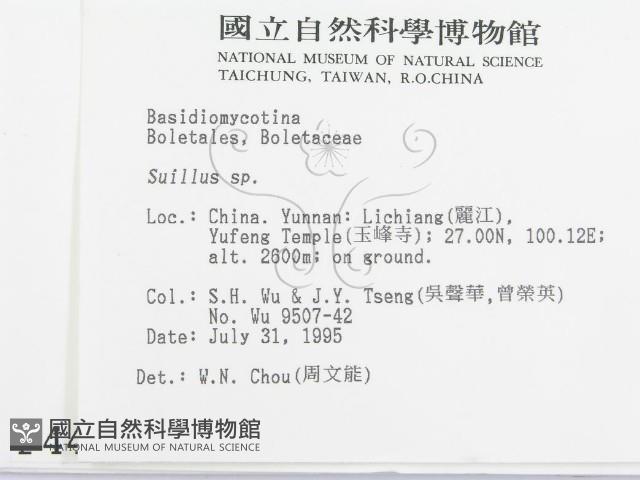 登錄號:F0004445藏品圖，第2張