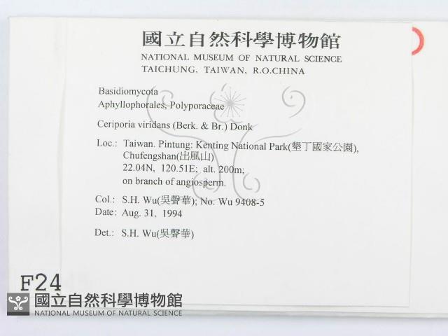 登錄號:F0002445藏品圖，第2張