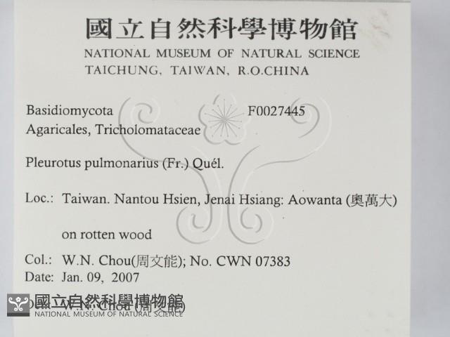 登錄號:F0027445藏品圖，第2張