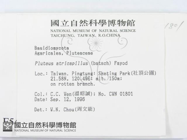 登錄號:F0005445藏品圖，第2張