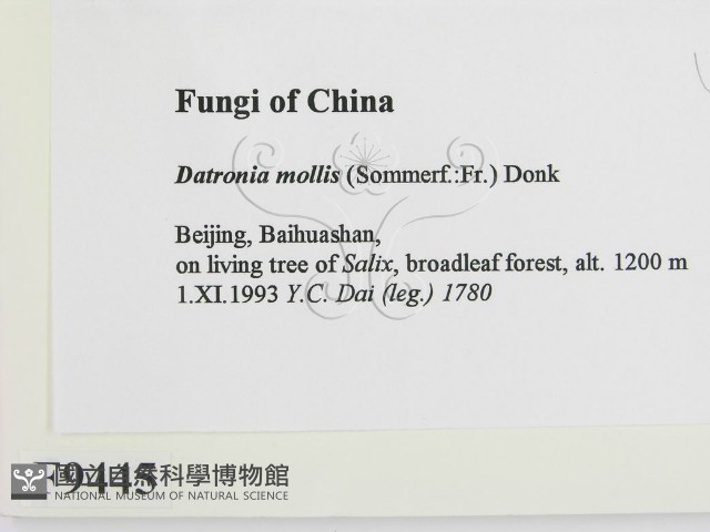 登錄號:F0009445藏品圖，第2張