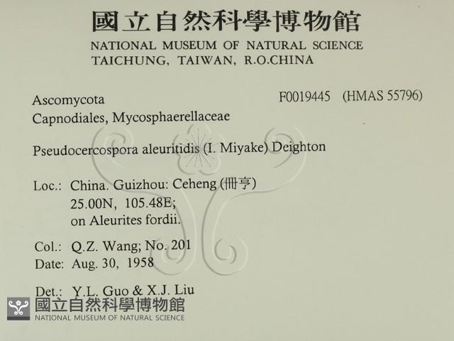 登錄號:F0019445藏品圖，第2張