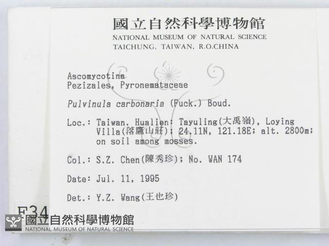 登錄號:F0003445藏品圖，第2張